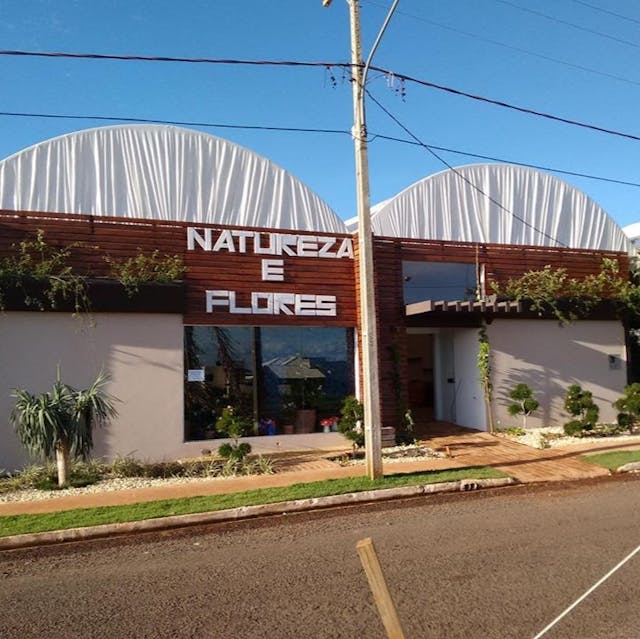 Logo NATUREZA E FLORES