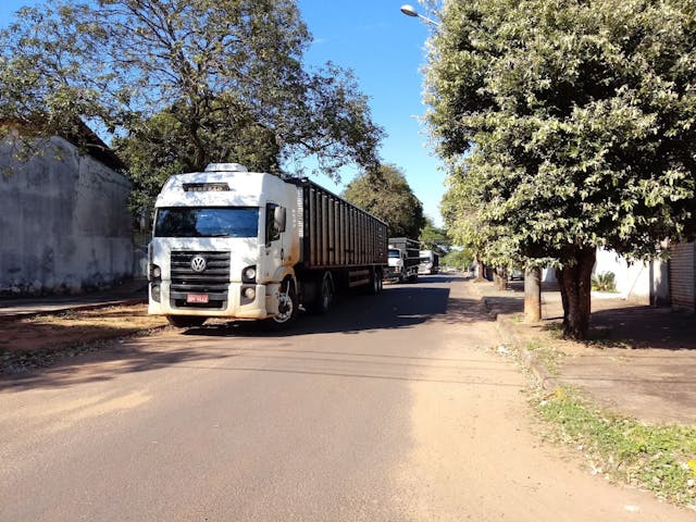 Logo Manoel Aparecido Marinho Transportes ME - Transporte de bovinos em Naviraí-MS